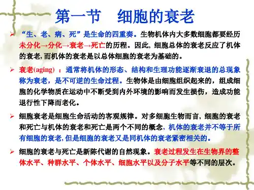 细胞衰老与凋亡优秀课件