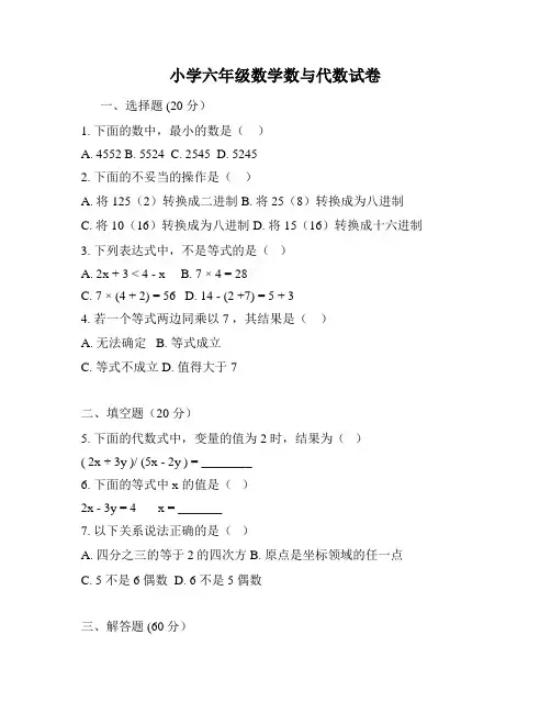 小学六年级数学数与代数试卷