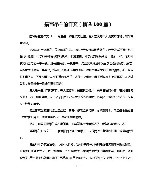 描写吊兰的作文(精选100篇)