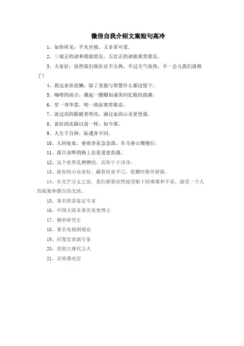 微信自我介绍文案短句高冷