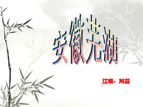 安徽省,芜湖简介