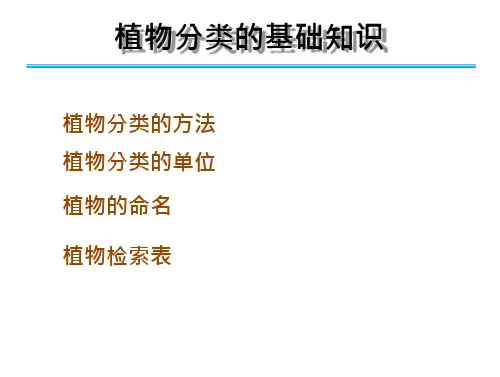 植物分类的基础知识