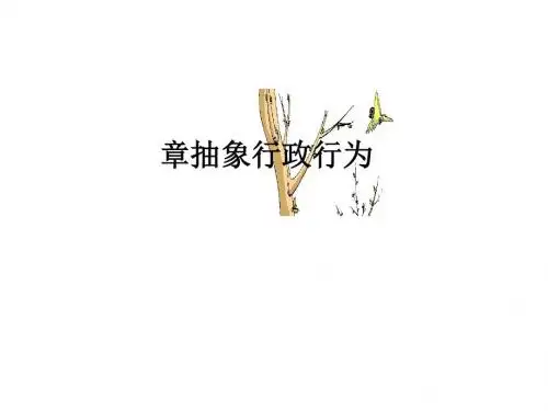行政法学之抽象行政行为(ppt44张)