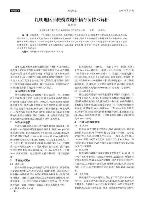 昆明地区油橄榄设施扦插育苗技术解析