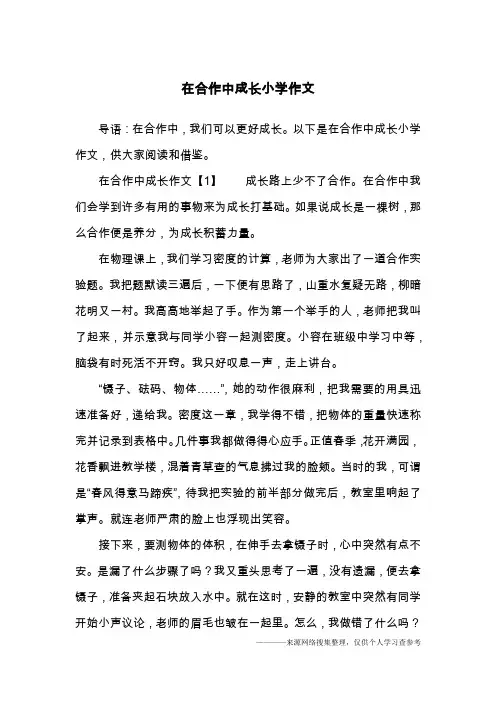 在合作中成长小学作文