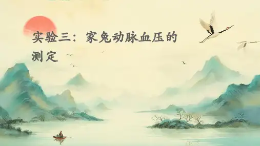 实验三：家兔动脉血压的测定课件