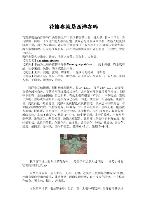 花旗参就是西洋参吗