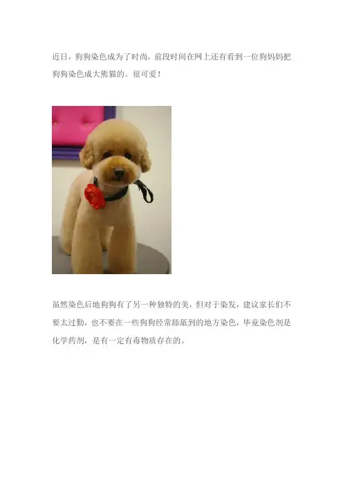 狗狗毛发染色注意事项
