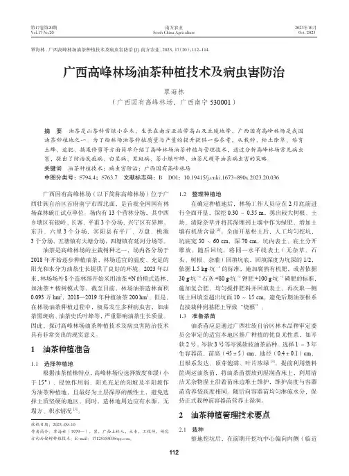 广西高峰林场油茶种植技术及病虫害防治