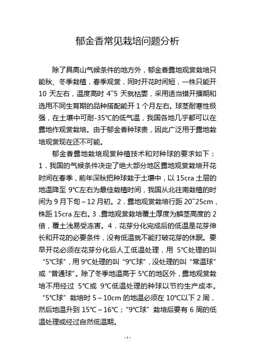 郁金香常见栽培问题分析