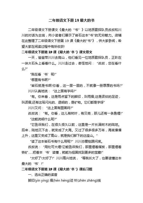 二年级语文下册19最大的书