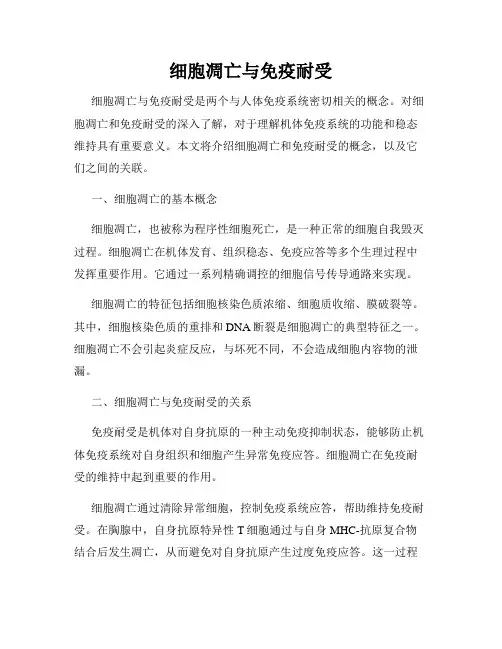 细胞凋亡与免疫耐受