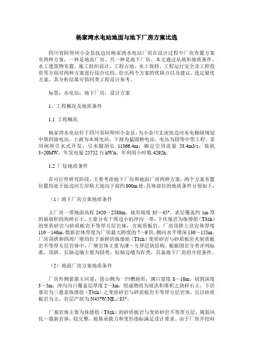 杨家湾水电站地面与地下厂房方案比选