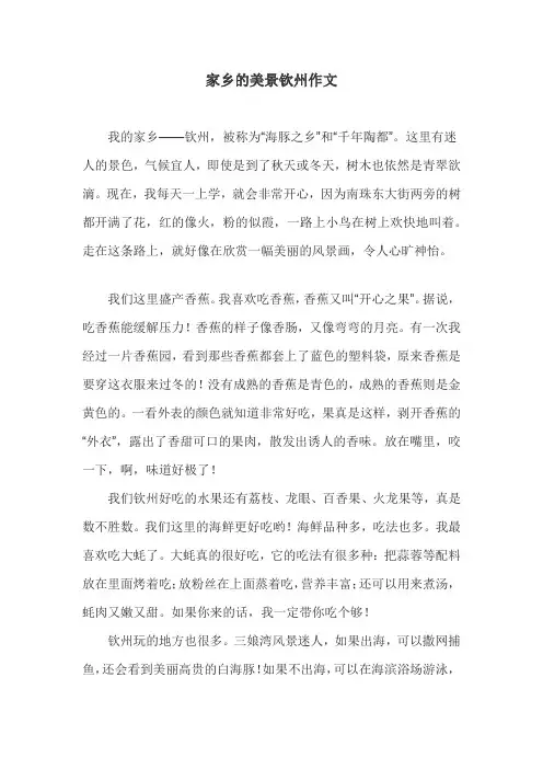 家乡的美景钦州作文