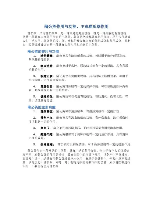 蒲公英作用与功能主治猫爪草作用