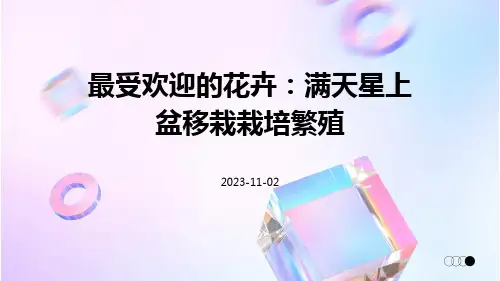 最受欢迎的花卉：满天星上盆移栽栽培繁殖,