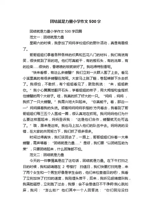 团结就是力量小学作文500字四篇