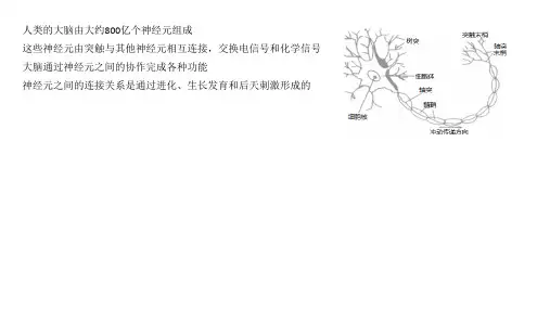 机器学习与应用第02讲人工神经网络ppt课件