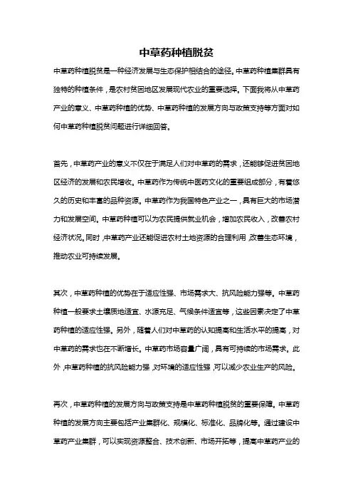 中草药种植脱贫