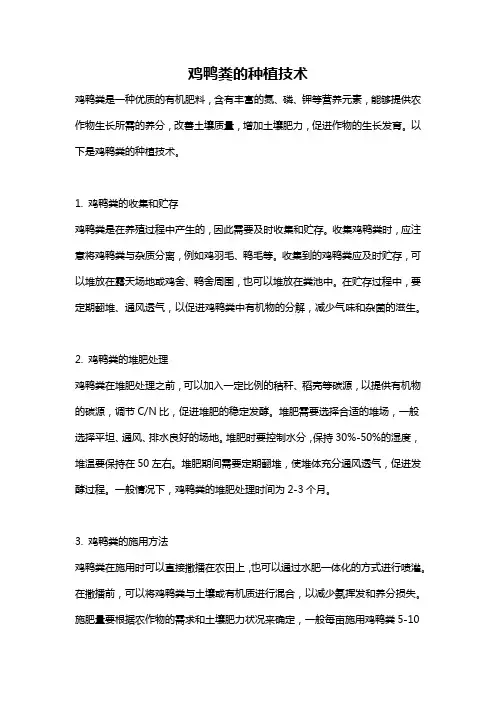 鸡鸭粪的种植技术
