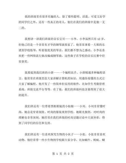 我班的奇人作文范文