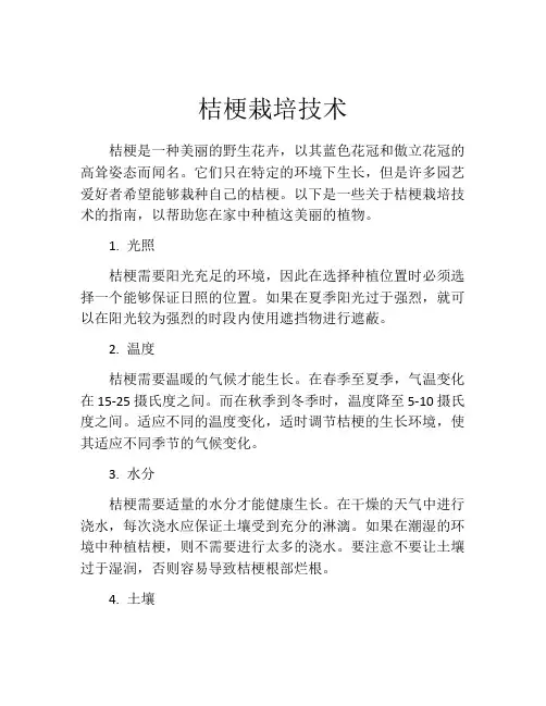 桔梗栽培技术