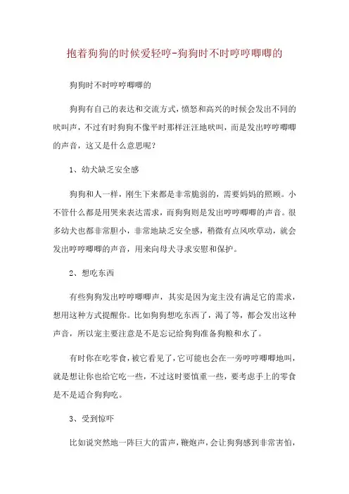 抱着狗狗的时候爱轻哼-狗狗时不时哼哼唧唧的