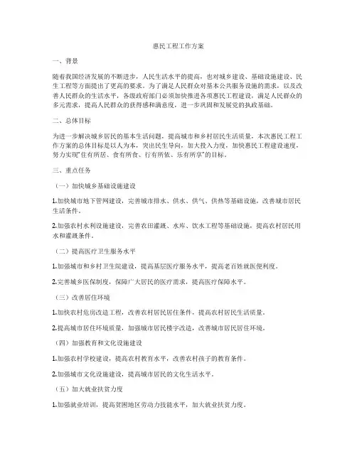 惠民工程工作方案