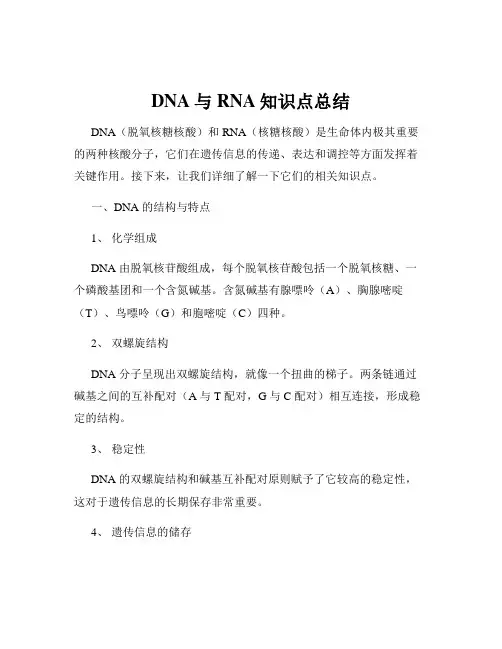 DNA与RNA知识点总结