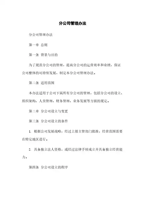 分公司管理办法