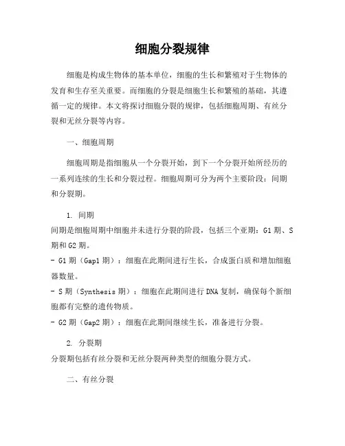 细胞分裂规律