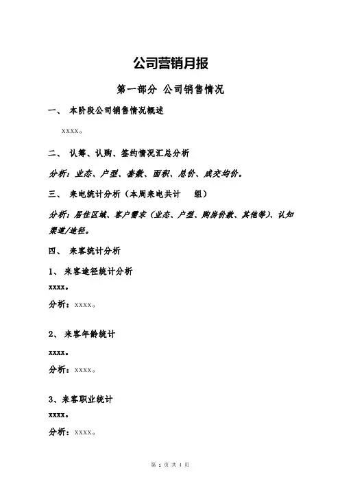 公司营销月报(模板)