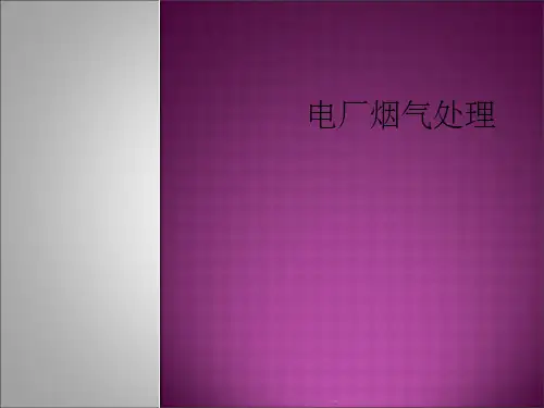 电厂烟气处理ppt课件