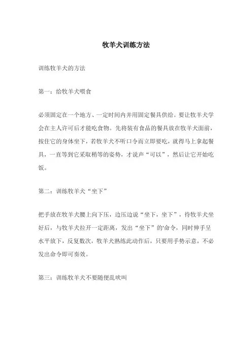 牧羊犬训练方法