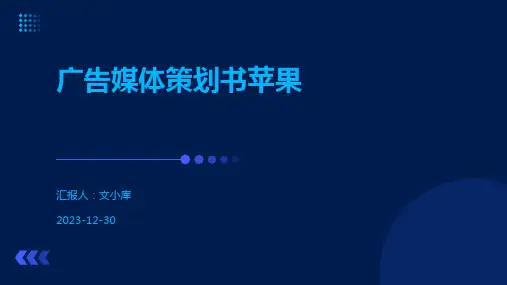 广告媒体策划书苹果
