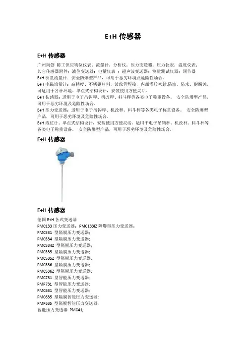 E+H传感器