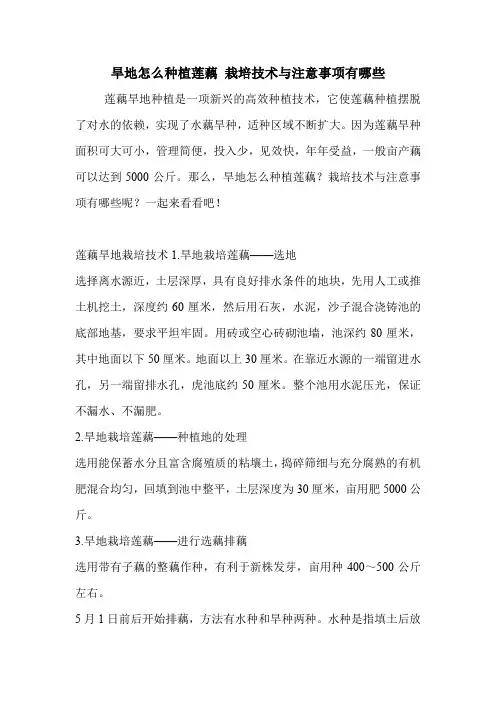 旱地怎么种植莲藕 栽培技术与注意事项有哪些.doc
