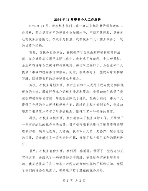 2024年11月税务个人工作总结