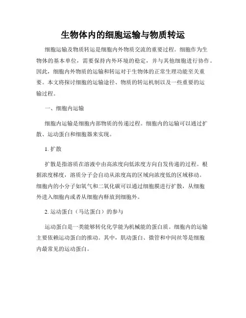 生物体内的细胞运输与物质转运