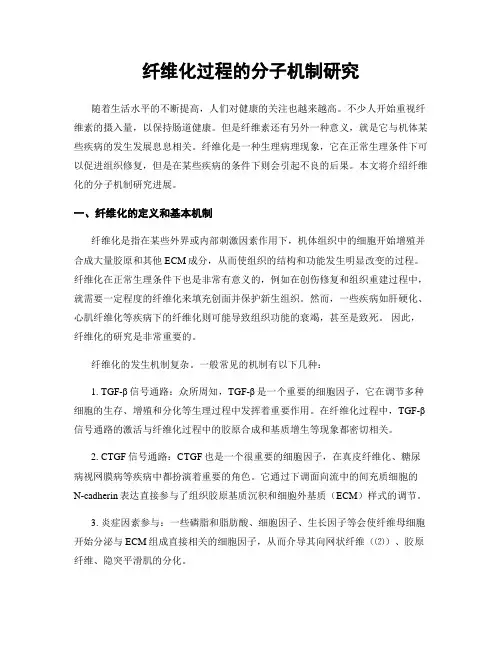 纤维化过程的分子机制研究