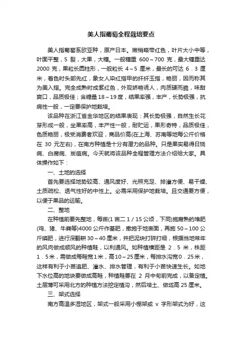 美人指葡萄全程栽培要点