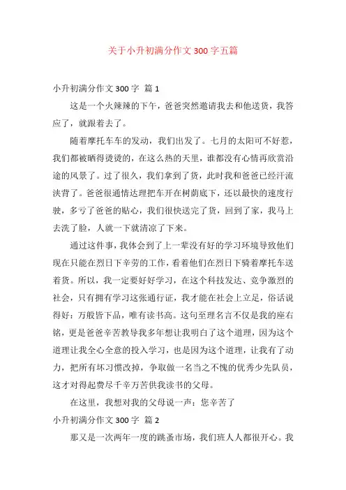 关于小升初满分作文300字五篇