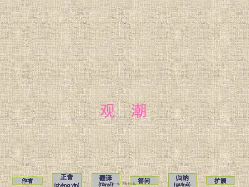 世界上有两大涌潮现象(共53张PPT)