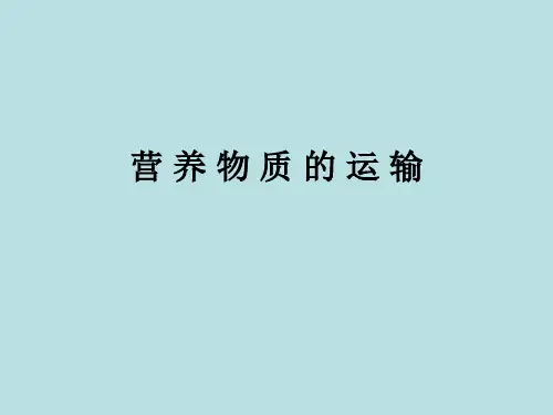 营养物质的运输
