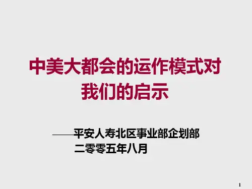 中美大都会的运作模式对我们的启示