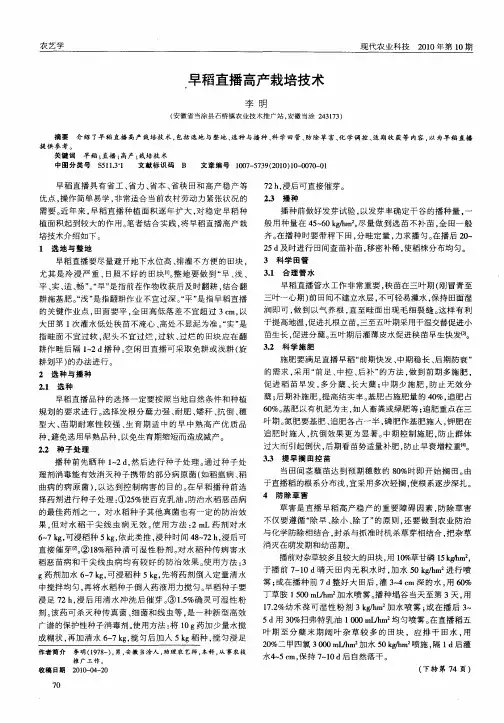 早稻直播高产栽培技术