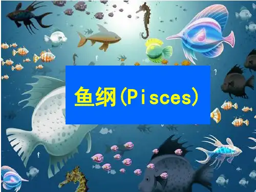 高中生物竞赛4脊椎动物学课件-03鱼纲