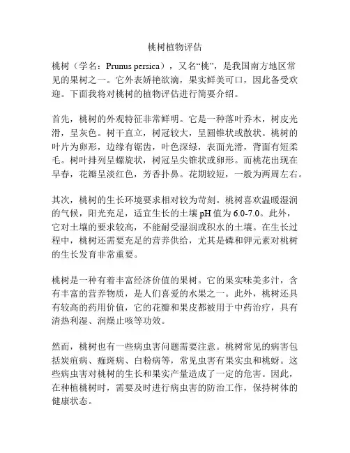 桃树植物评估