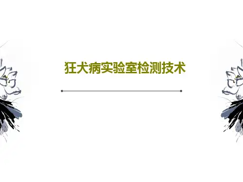 狂犬病实验室检测技术共45页