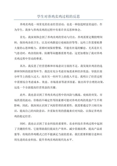 学生对养鸡卖鸡过程的反思
